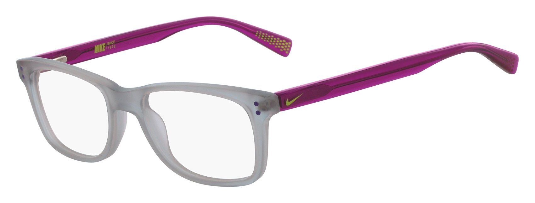 Nike Glasses 5538