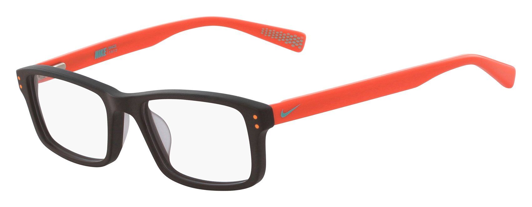 Nike Glasses 5537