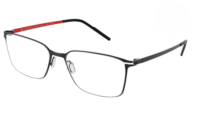 Reykjavik Eyes Glasses Lukas - Image 3