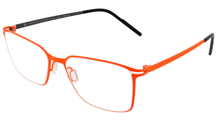 Reykjavik Eyes Glasses Lukas - Image 4