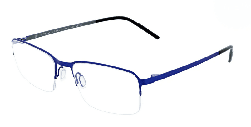 Reykjavik Eyes Glasses Theo