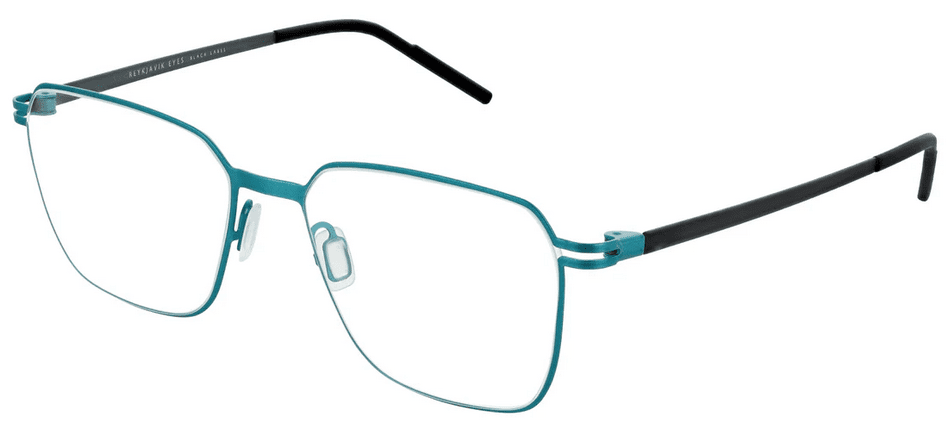 Reykjavik Eyes Glasses Asla