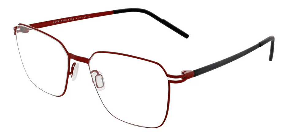 Reykjavik Eyes Glasses Asla - Image 4