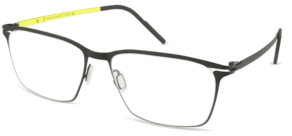 Reykjavik Glasses Finn